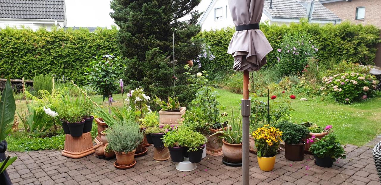 Gaestezimmer Junglas Bornheim  Kültér fotó